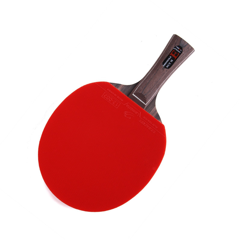 Table Tennis Padel - 레무리아 에벤홀츠-탁구 라켓, 핌플스인 고무로 접착,