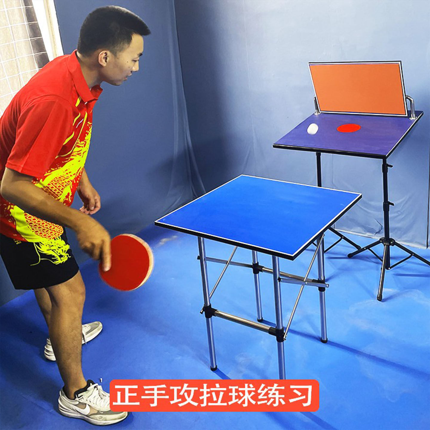 탁구 트레이너 리바운드 보드 전문가용 싱글 트레이닝 배 - Table Tennis Trainer 리뷰 및 가격