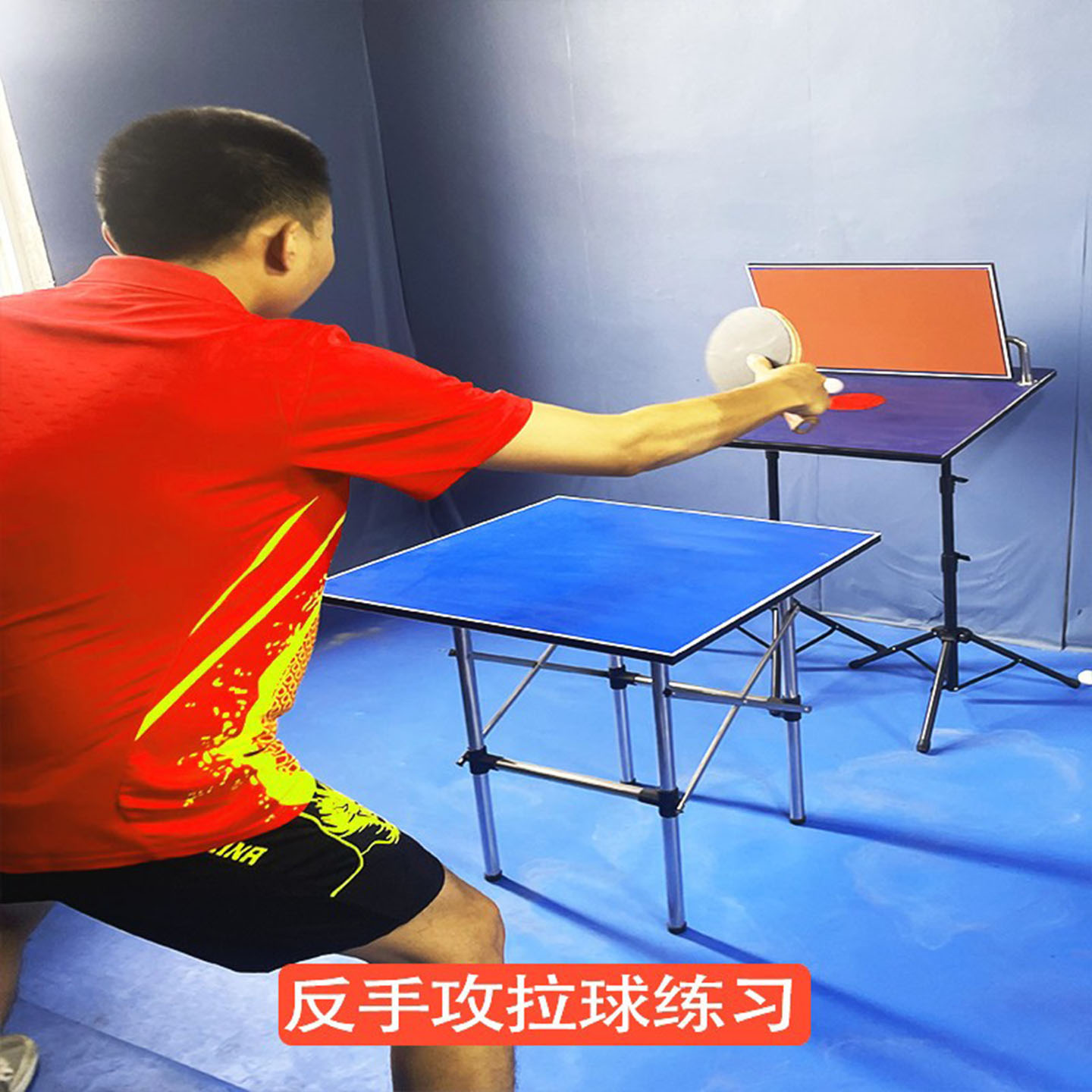 탁구 트레이너 리바운드 보드 전문가용 싱글 트레이닝 배 - Table Tennis Trainer 리뷰 및 가격