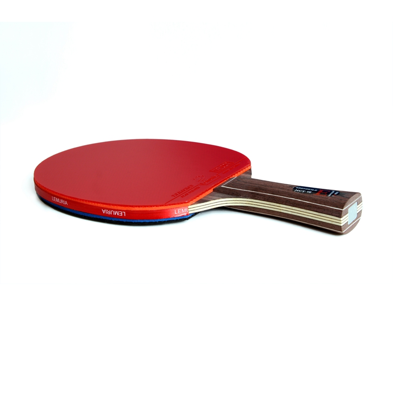 레무리아 에벤홀츠-탁구 라켓, 핌플스인 고무로 접착,  - Table Tennis Padel 리뷰 및 가격